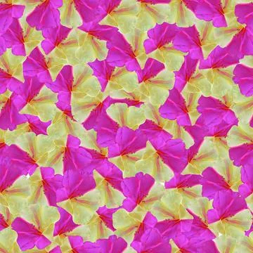 Flowers pattern. Stock Illustration