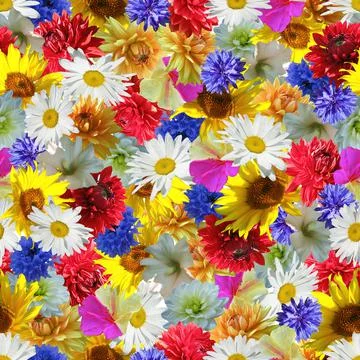 Flowers pattern. Stock Illustration