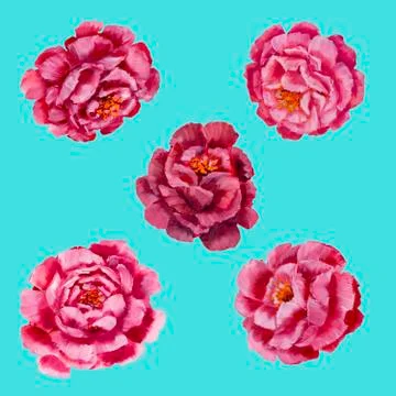 Flowers pattern - pink peonies, roses oil painting Ilustración de archivo