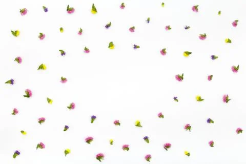 Flowers pattern on white background. Top view, flat lay Stock Photos