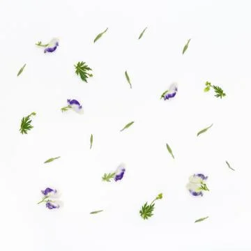 Flowers pattern on white background. Top view, flat lay Stock Photos