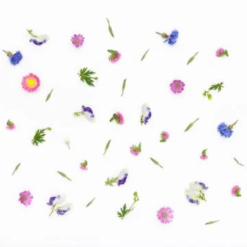 Flowers pattern on white background. Top view, flat lay Stock Photos