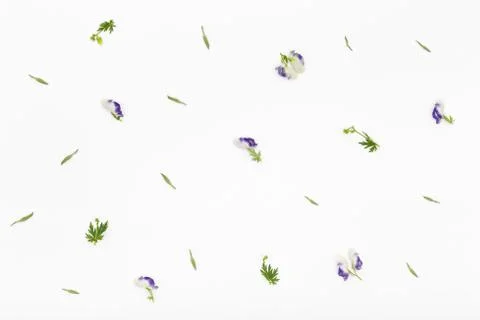 Flowers pattern on white background. Top view, flat lay Stock Photos