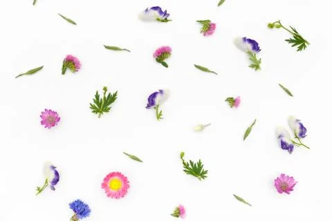 Flowers pattern on white background. Top view, flat lay Foto stock