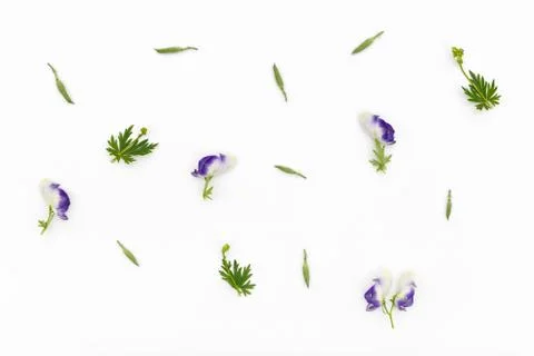 Flowers pattern on white background. Top view, flat lay Foto stock