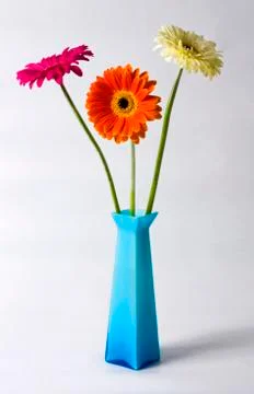 Flowers. Stock Photos