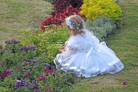 Flower...s Stock Photos