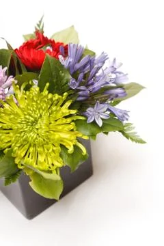 Flowers Stock Photos