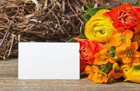 Flowers Stock Photos