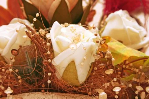 Flowers Stock Photos