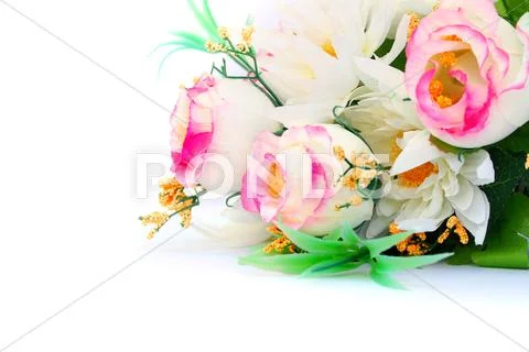 Flowers Stock Photos