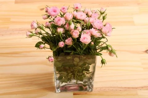 Flowers Stock Photos