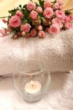 Flowers Stock Photos