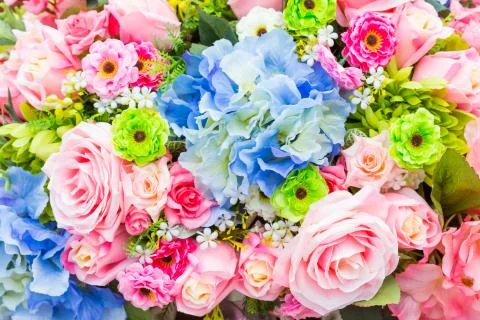 Flowers Stock Photos