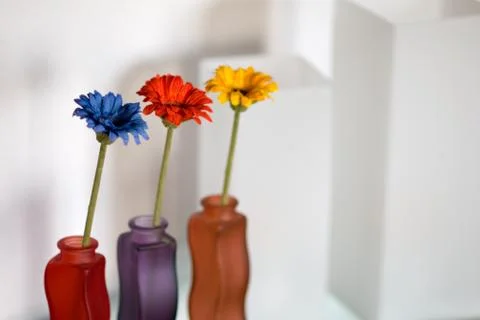 Flowers 스톡 사진