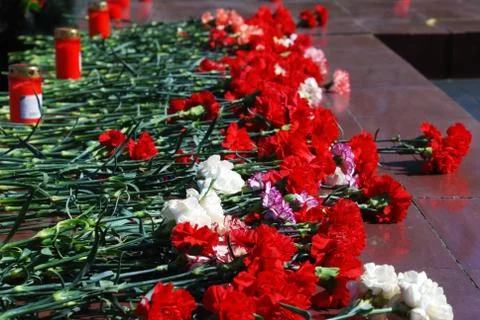 Flowers Stock Photos