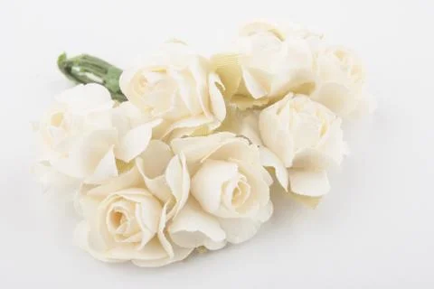 Flowers Stock Photos