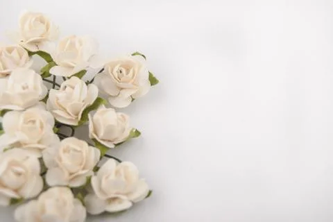 Flowers Stock Photos