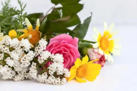 Flowers Stock Photos