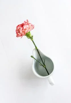 Flowers Stock Photos