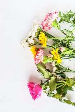 Flowers Stock Photos