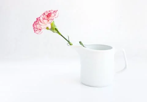 Flowers Stock Photos