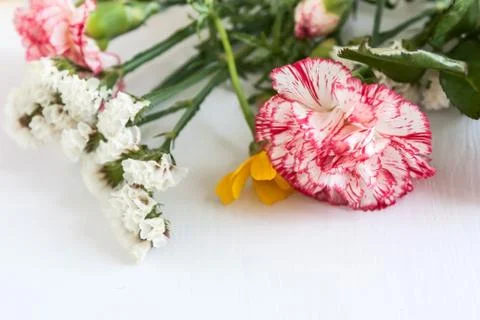 Flowers Stock Photos
