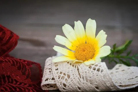 Flowers Stock Photos