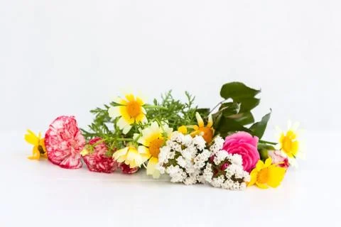 Flowers Stock Photos