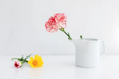 Flowers Stock Photos