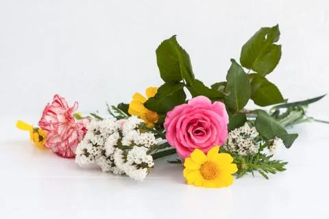 Flowers Stock Photos