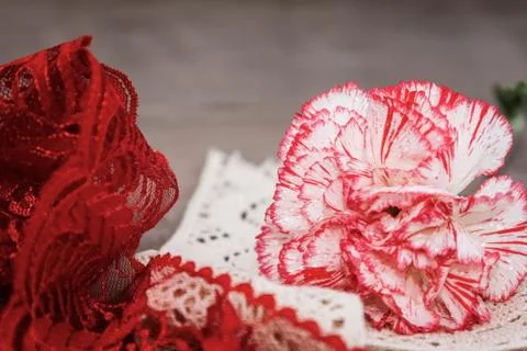 Flowers Stock Photos