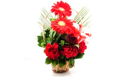 Flowers Foto stock