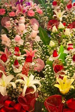 Flowers Stock Photos