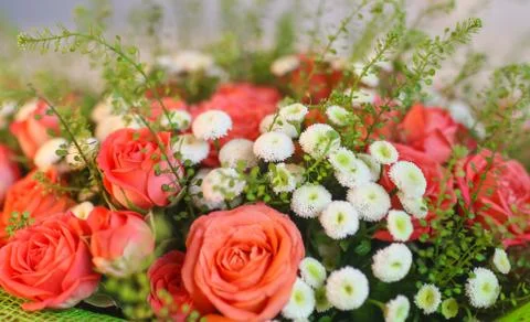 Flowers Stock Photos