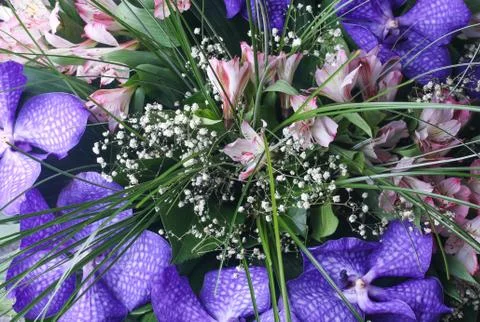 Flowers Stock Photos