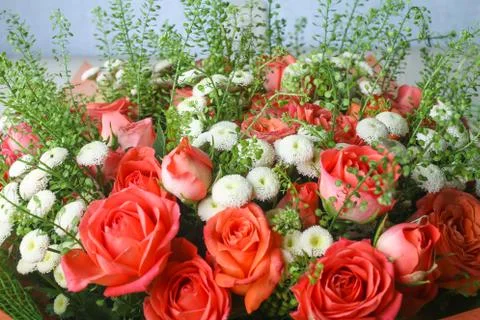 Flowers Stock Photos