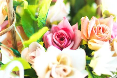 Flowers Stock Photos