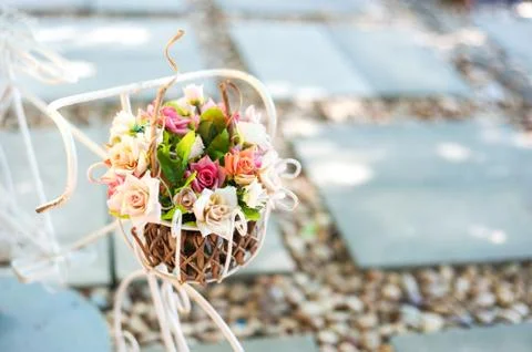 Flowers Stock Photos