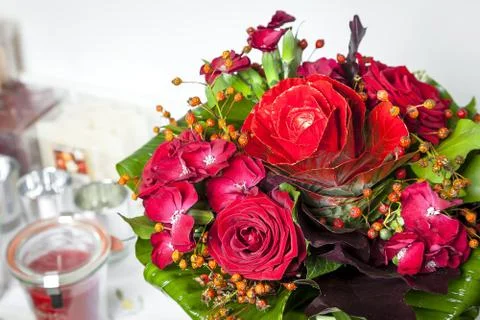 Flowers Stock Photos