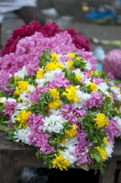 Flowers Stock Photos