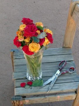 Flowers Stock Photos