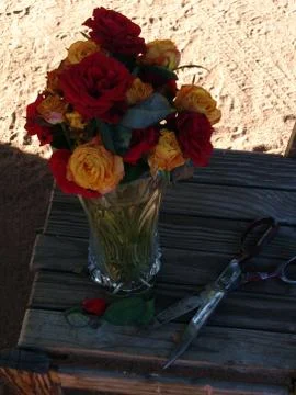 Flowers Stock Photos