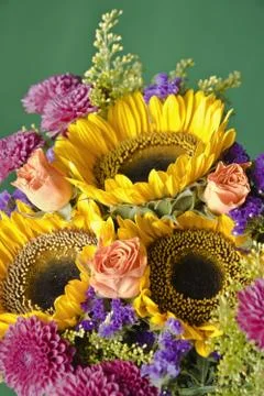 Flowers Stock Photos