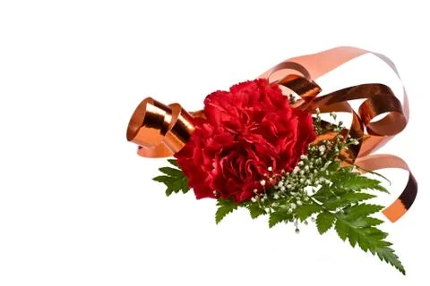 Flowers Stock Photos