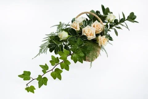 Flowers Stock Photos