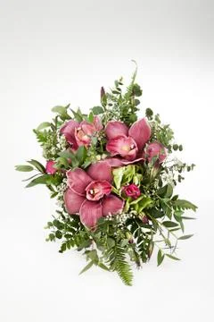 Flowers Stock Photos