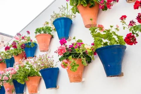 Flowers Foto stock