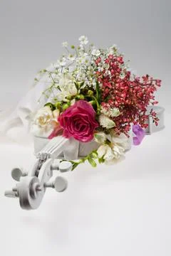 Flowers Stock Photos
