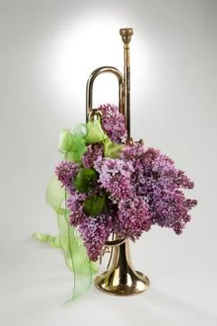 Flowers Stock Photos